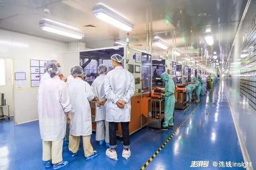 业绩向好，股价却下跌 新消费‘第一股’们怎么了？
